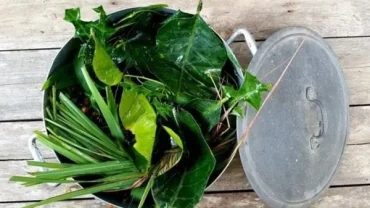 1st-bath-of-the-year-with-leaves