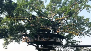 Bokeo Nature Reserve