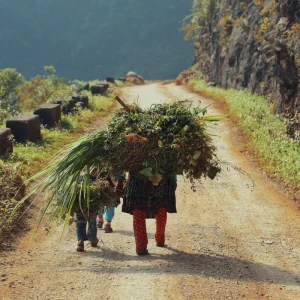 North-Vietnam