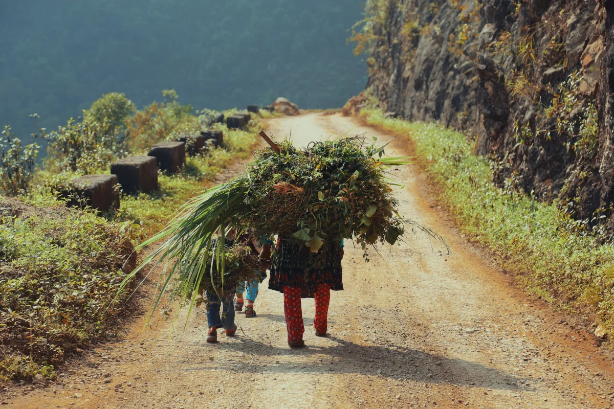 North Vietnam