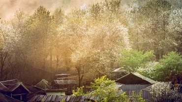 North-west-Vietnam-village