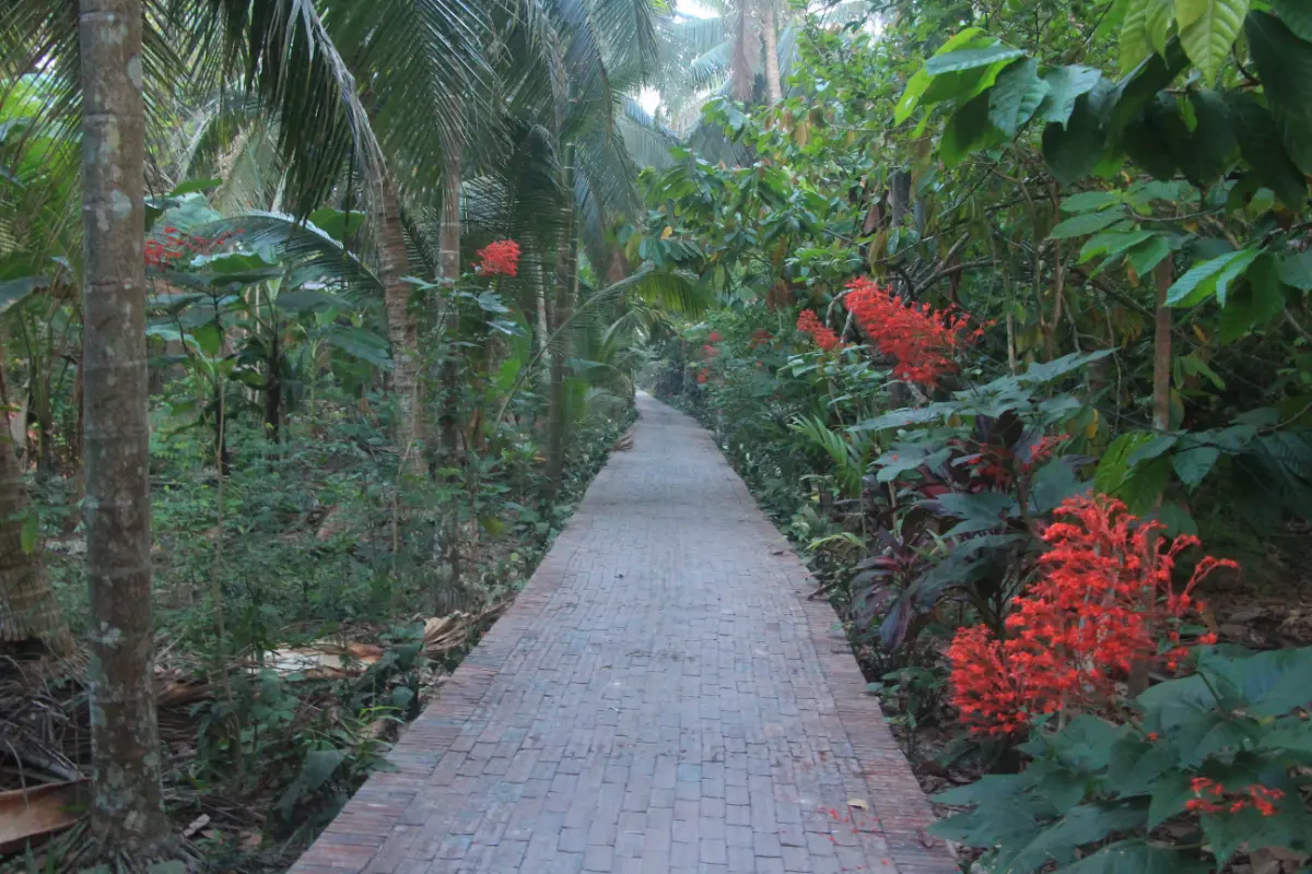 You've arrived at Coco Riverside Lodge - successfully learning how to get to Coco Riverside from Saigon