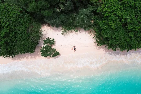 condao-island-turtles-travel (1)