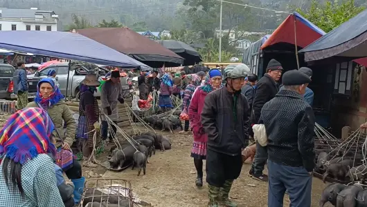 Bac Ha market, Hmong women in traditional clothes